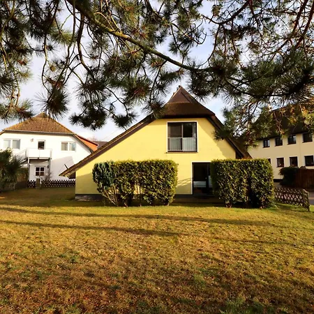 Achtern Diek Wustrow (Fischland)